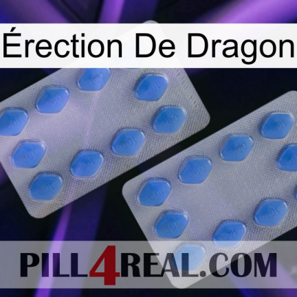 Érection De Dragon 20